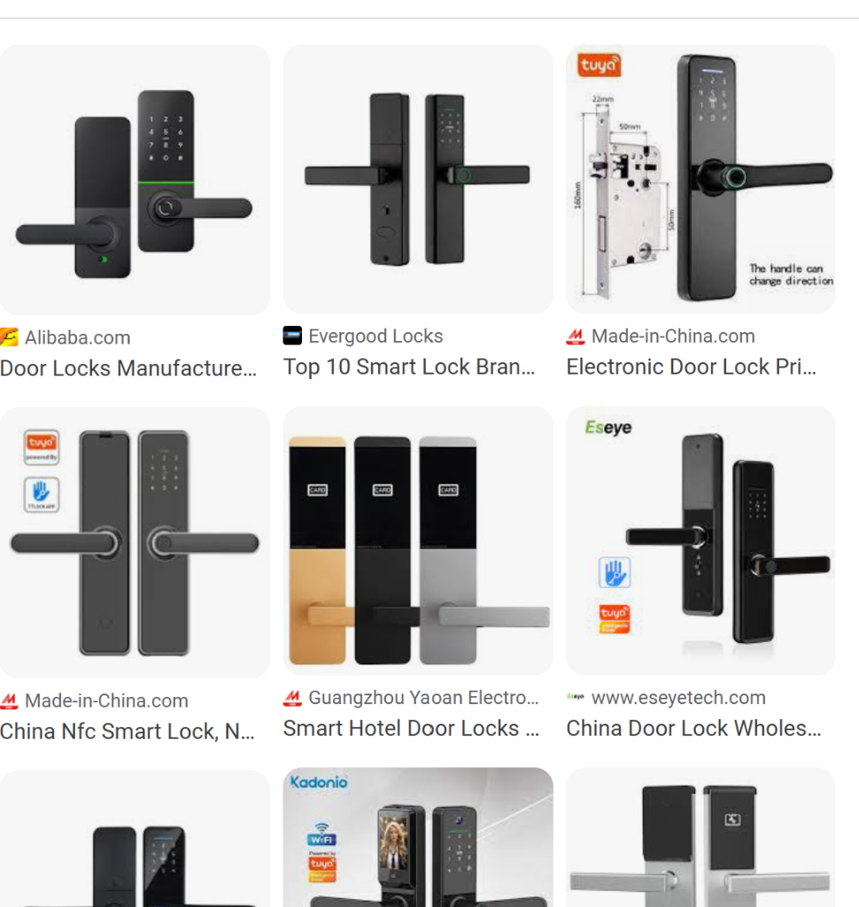 Titan Biometric Smart Lock